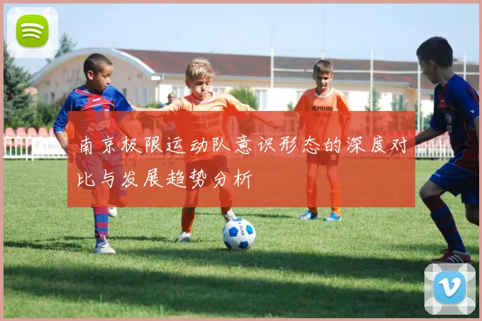 南京极限运动队意识形态的深度对比与发展趋势分析