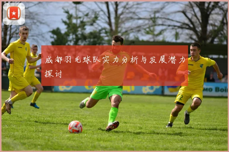 成都羽毛球队实力分析与发展潜力探讨