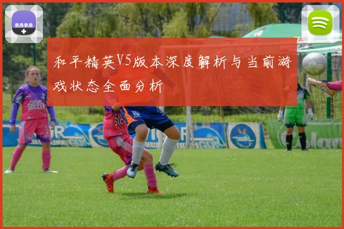 和平精英V5版本深度解析与当前游戏状态全面分析
