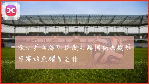深圳乒乓球队逆袭之路揭秘决战冠军赛的荣耀与坚持